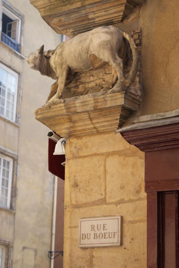 Gite L'Outarde Lyon Dış mekan fotoğraf